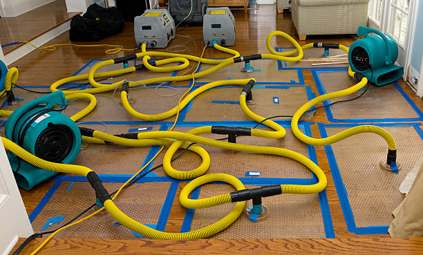 Professional Basement Flood Cleanup technician working in Three Lakes, WA